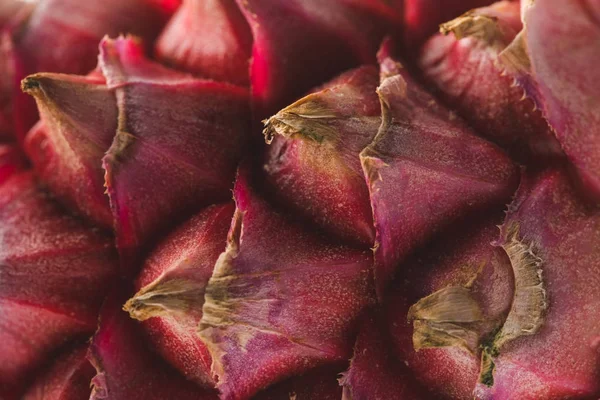 Pink pineapple closeup — Stock Photo