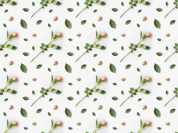 Pink roses with petals — Stock Photo