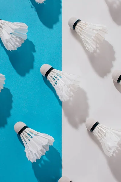 Vue de dessus des navettes de badminton sur bleu et blanc — Photo de stock