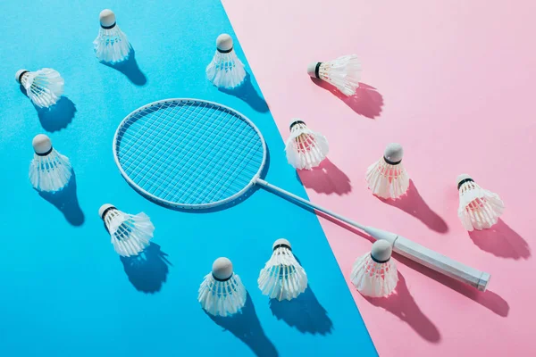 Shuttlecocks around badminton racket on blue and pink papers — Stock Photo