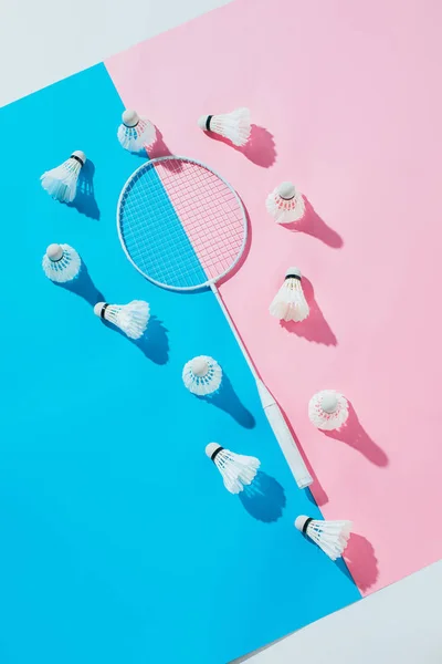 Vista superior de las lanzaderas alrededor de la raqueta de bádminton sobre papeles azules y rosados - foto de stock