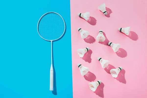 Vue de dessus de raquette de badminton sur bleu et navettes sur rose — Photo de stock