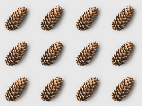 Pattern of beautiful pine cones on white surface — Stock Photo