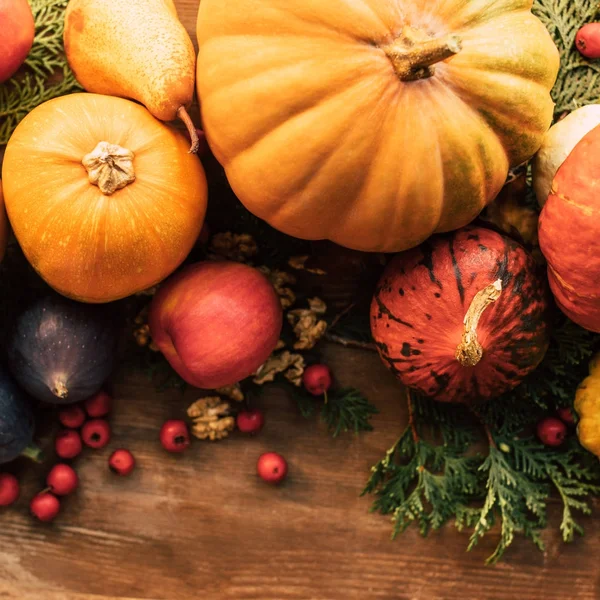 Draufsicht auf verschiedene Obst- und Gemüsesorten auf Tannenzweigen — Stockfoto