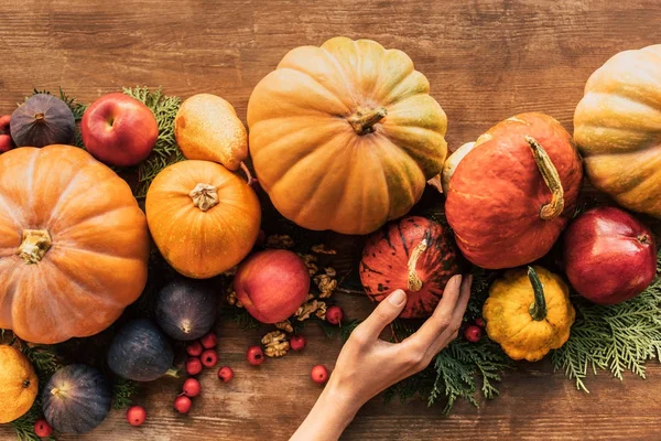 Plan recadré de femme touchant citrouilles sur table en bois — Photo de stock