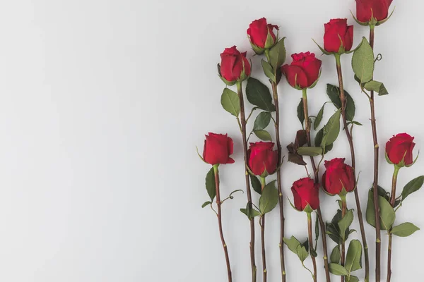 Vista dall'alto di rose rosse disposte isolate su bianco — Foto stock