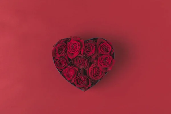 Vue du dessus des roses en forme de coeur boîte cadeau isolé sur rouge, st Saint-Valentin concept de vacances — Photo de stock