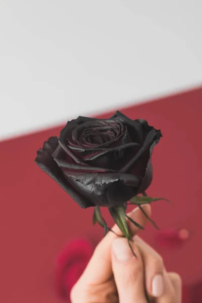 Foco seletivo da mulher segurando colorido em preto na mão — Fotografia de Stock