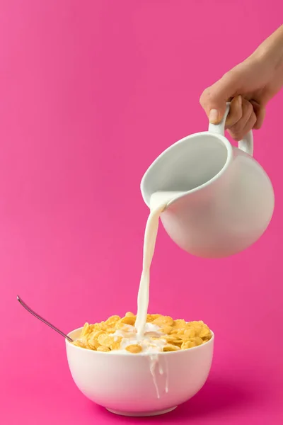 Recortado tiro de mano la celebración de la jarra y verter la leche en un tazón con copos de maíz aislados en rosa - foto de stock