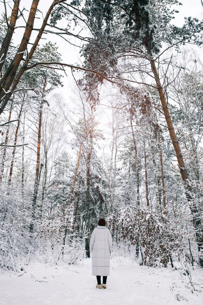 Vue arrière de la fille marchant dans la forêt enneigée — Photo de stock