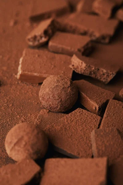 Vista de perto de trufas e barras de chocolate em pó de cacau — Fotografia de Stock