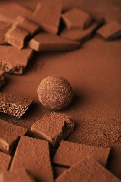 Close up view of sweet truffle and chocolate in cocoa powder — Stock Photo