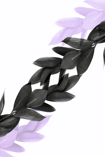 Ramitas con hojas grises y ramitas púrpuras transparentes aisladas en blanco - foto de stock