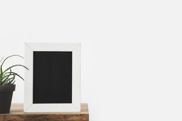 Blackboard in frame and plant on table on white — Stock Photo