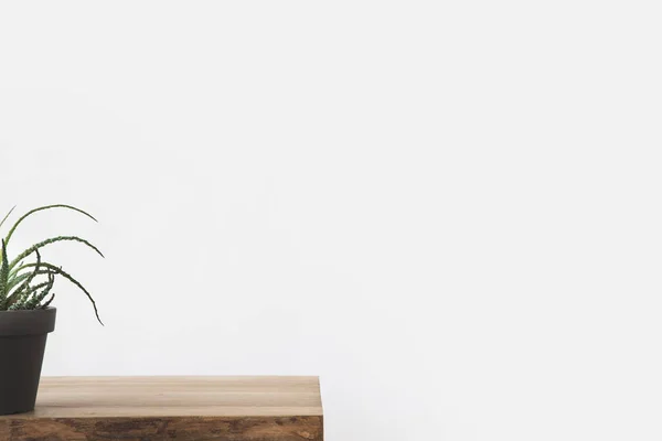 Image recadrée de la plante verte en pot sur la table sur blanc — Photo de stock