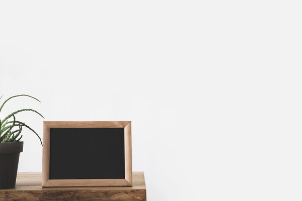 Tableau noir dans cadre et plante sur table sur blanc — Photo de stock