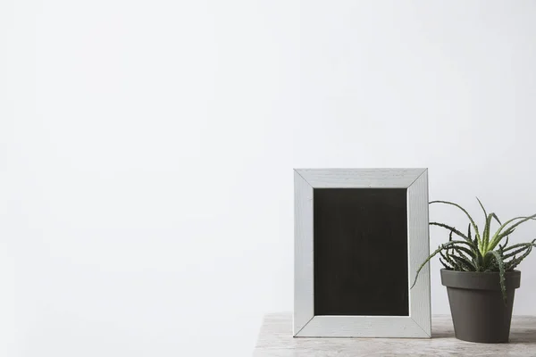 Empty blackboard in frame and green plant on table on white — Stock Photo