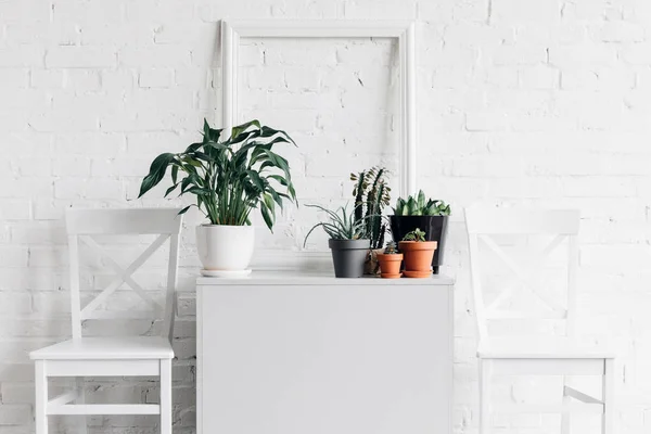 House decor with houseplants in front of white brick wall, mockup concept — Stock Photo