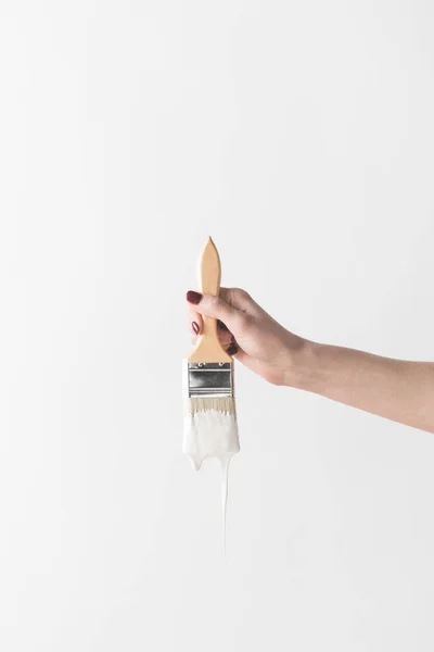 Cropped image of woman holding brush in white paint isolated on white — Stock Photo