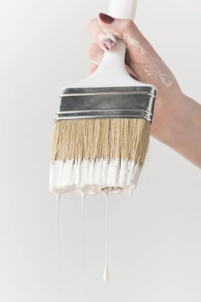 Cropped image of woman holding brush in white paint isolated on white — Stock Photo