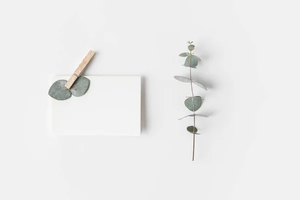Leigos planos com eucalipto e papel em branco na superfície branca — Fotografia de Stock