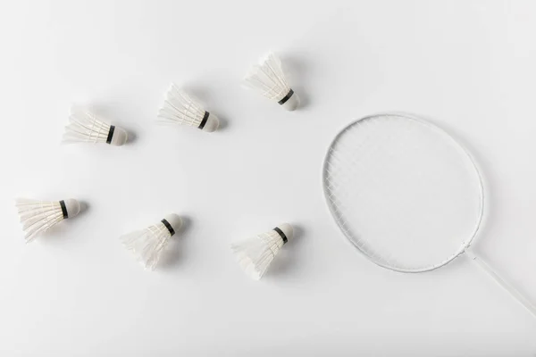 Top view of badminton shuttlecocks and racket on white tabletop — Stock Photo