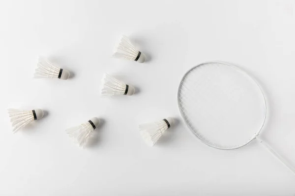 Top view of badminton shuttlecocks and racket on white surface — Stock Photo