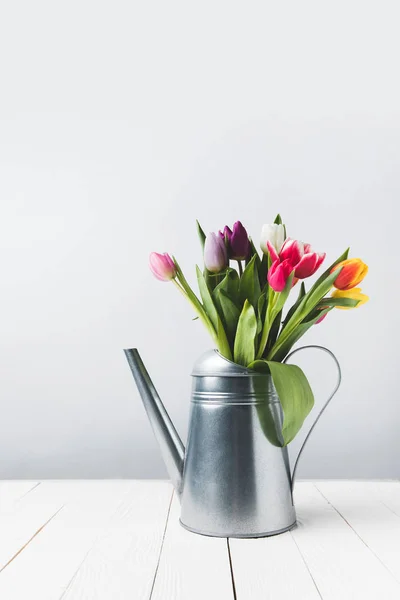 Beautiful colorful tulip flowers in watering can on grey — Stock Photo
