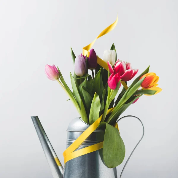 Tulipes — Photo de stock