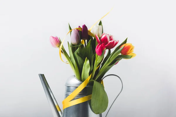 Красивые красочные цветущие тюльпаны в кастрюле с желтой лентой на сером — стоковое фото