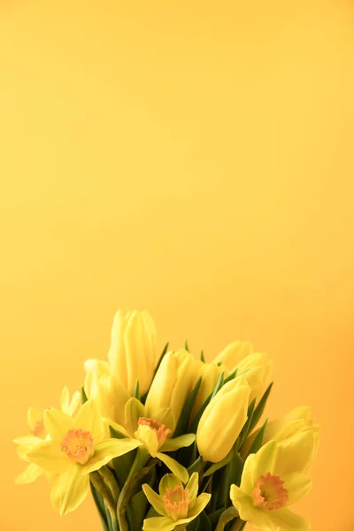 Vista de cerca de hermosas flores amarillas de primavera aisladas en amarillo - foto de stock