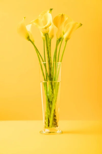 Vista de cerca de hermosas flores de primavera amarillas en jarrón sobre amarillo - foto de stock