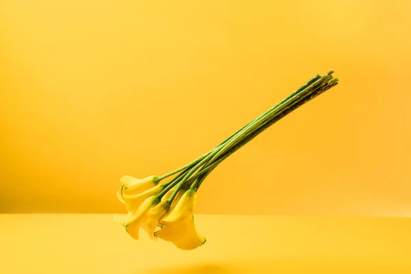 Bellissimi teneri fiori gialli primaverili isolati su giallo — Foto stock