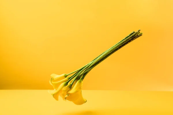 Beautiful tender yellow spring flowers isolated on yellow — Stock Photo