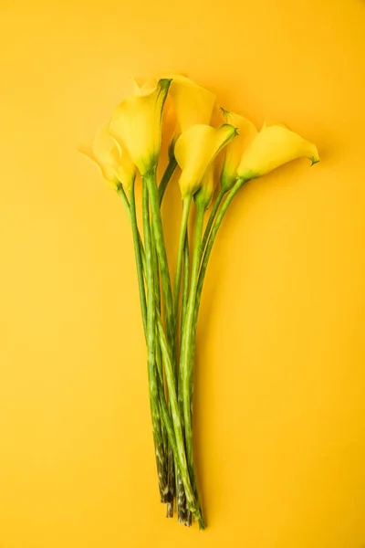 Vista de cerca de hermosas flores amarillas de primavera aisladas en amarillo - foto de stock