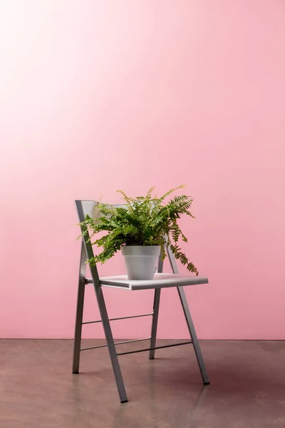 Silla plegable con maceta de helecho en frente de la pared rosa - foto de stock