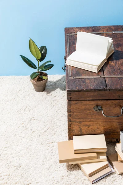 Vintage wooden chest with books and ficus pot in front of blue wall — Stock Photo