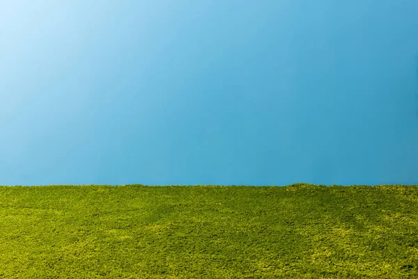 Tapete verde na frente da parede azul — Fotografia de Stock