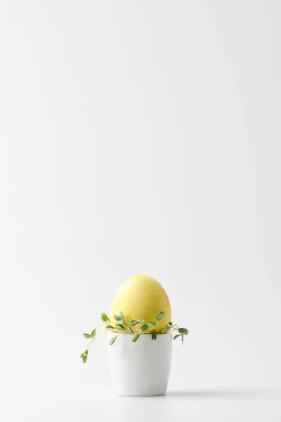 Yellow painted easter egg in egg stand on white — Stock Photo