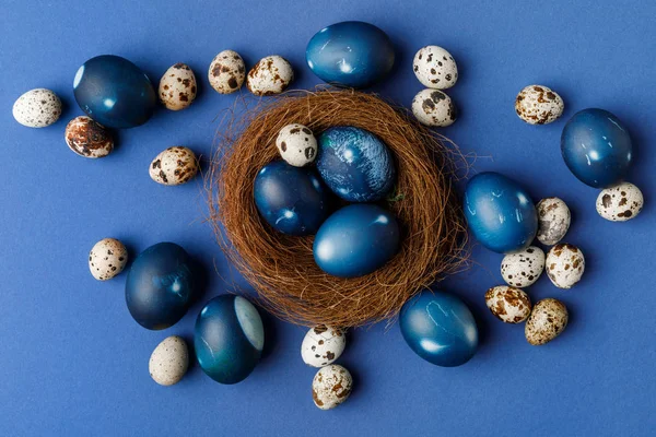 Vista superior de ovos de páscoa pintados de azul e ovos de codorna em ninho decorativo na superfície azul — Fotografia de Stock