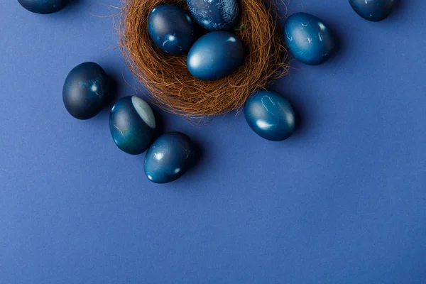 Vista superior de huevos de Pascua pintados de azul en nido decorativo sobre superficie azul - foto de stock