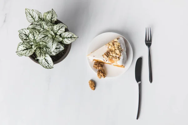 Torte auf Teller mit Besteck und Topfpflanze auf grau — Stockfoto