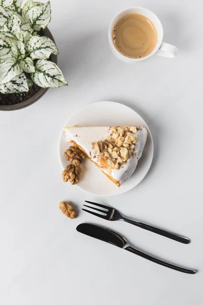 Вид сверху торта на тарелку с чашкой кофе и горшочковым растением — стоковое фото