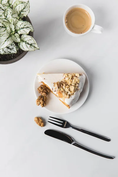 Top view of cake on plate with cup of coffee and potted plant — Stock Photo