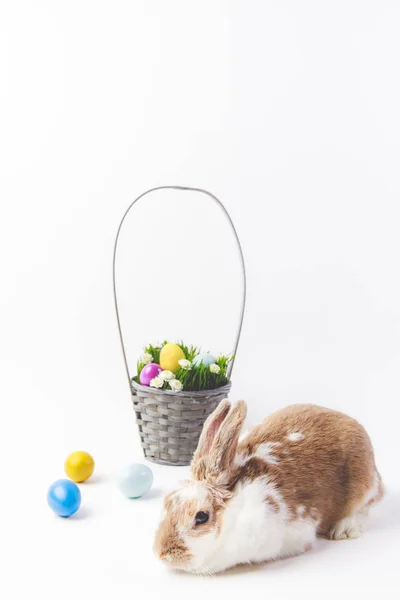 Пасхальная корзина с окрашенными яйцами и кроликом, пасхальная концепция — стоковое фото