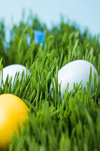 Huevos de Pascua pintados en diferentes colores sobre hierba, concepto de Pascua - foto de stock