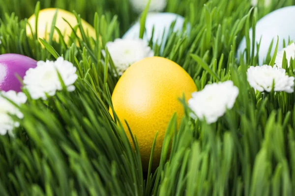 Pintado em diferentes cores ovos de Páscoa na grama, conceito de Páscoa — Fotografia de Stock