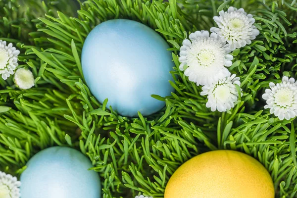 Tres huevos de Pascua pintados en el césped con manzanillas, concepto de Pascua - foto de stock