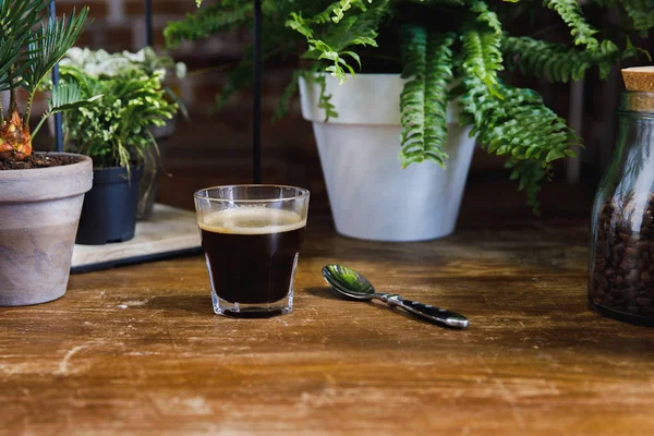 Café negro matutino en vaso sobre mesa con plantas en cafetería - foto de stock