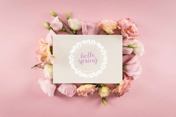Top view of HELLO SPRING card and beautiful blooming flowers isolated on pink — Stock Photo